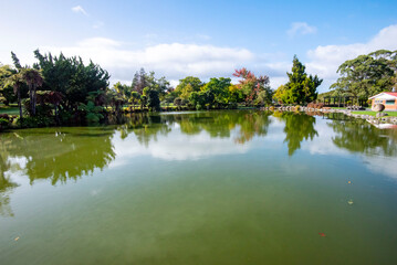 Fototapeta premium Kuirau Geothermal Park - Rotorua - New Zealand
