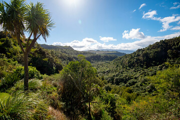 Waitoharuru Valley in Rotorua - New Zealand