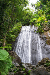 at base of la coca falls in el yunque national forest puerto rico