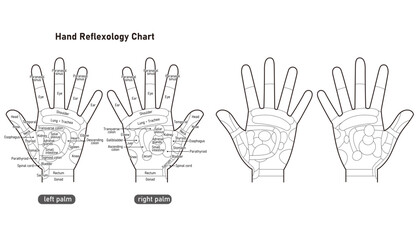 手のひらの反射区・手のつぼ　図解イラストセット（モノクロ・英語版）