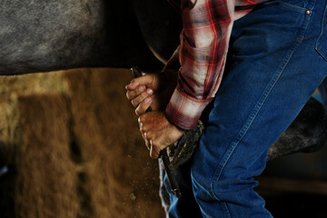 Farrier giving horse hoof trim close up on farm, ranch lifestyle.