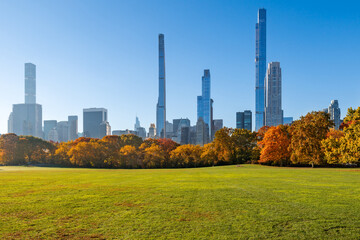 Morning in Central Park Sheep Meadow with lawn and trees. Fall foliage and iconic skyscapers of...