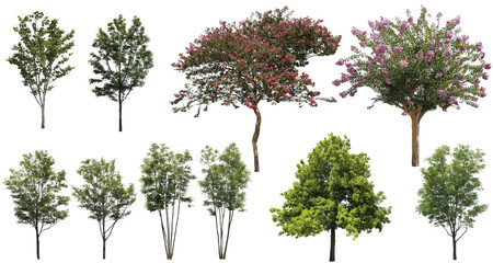 樹木切り抜きセット透過PNG背景白-Cutout Tree