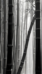 Obraz premium bamboo forest background
