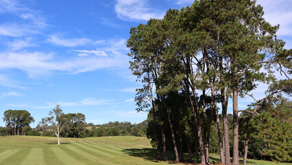 Golf fairway, golf course greenery