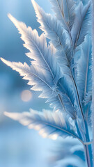 feather on snow