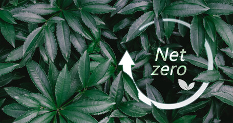 Net zero by 2050, carbon neutral, greenhouse gas emissions reduction targets.