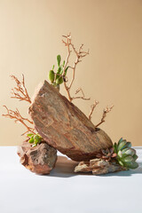 Vertical frame photo on yellow background with blank space in front for product displaying, a large stone has dry tree and summer plants decoration around. Front view, space for text