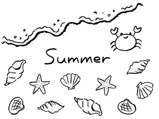 色々な貝殻と波打ち際をあるくカニ