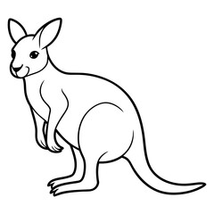 kangaroo vector