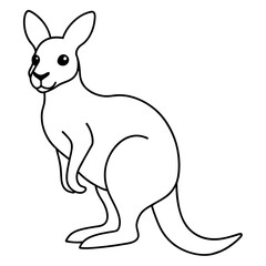 illustration of a kangaroo