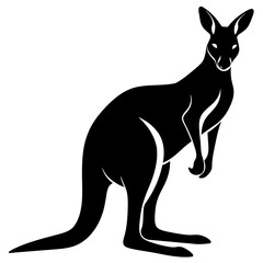 kangaroo vector illustration