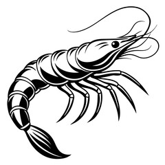 illustration of a tiger shrimp