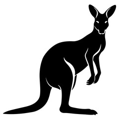 kangaroo illustration