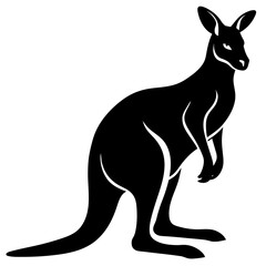 kangaroo illustration
