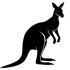 kangaroo illustration