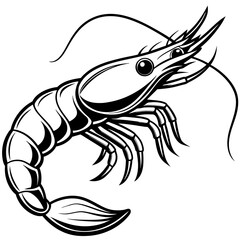 illustration of shrimp vector illustration	