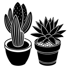 cactus in flowerpot vector illustration	