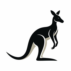 kangaroo vector art illustration