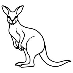 kangaroo illustration