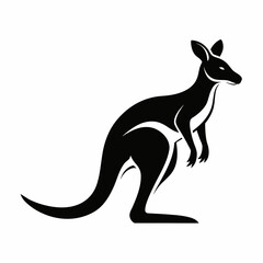 kangaroo vector illustration