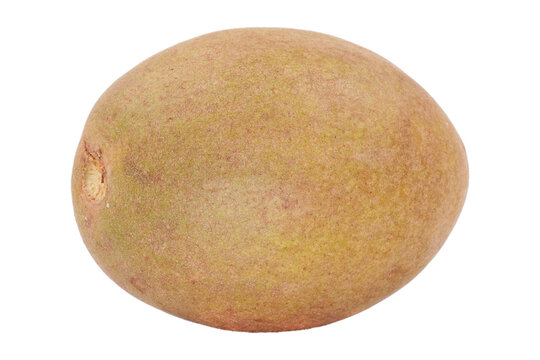 an organic fresh ripe brown sapodilla isolated transparent