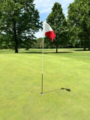 Obraz premium Golf course green with hole and flag