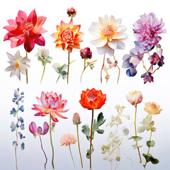 Illustration of a flower meadow in spring. Generative AI.	