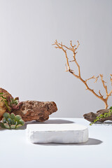 Template to design advertising for cosmetic and wellness products has natural origin, decorated by nature composition like rock and plants. The vacant podium in center for product presentation