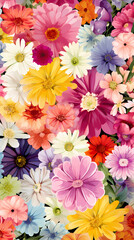 Fototapeta premium Flowers of various colors and shapes