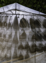 Fabric with bag shadows