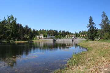 Edge Of The Lake, U of A Botanic Gardens, Devon, Alberta