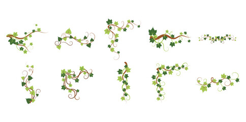 Tree Vine Decoration Vector Set