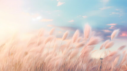 Obraz premium Soft and fluffy grass