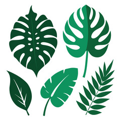 Set of tropical nature leaf silhouette vector illustrator on white background