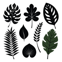 Set of tropical nature leaf silhouette vector illustrator on white background