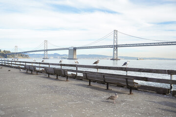 San Francisco - Oakland Bay Bridge with seagulls on the pier