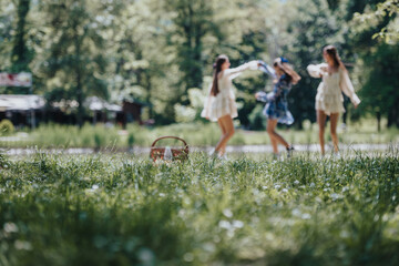 Fototapeta premium Three young women dance carefree in a lush park, captured in a moment of joy and freedom during a sunny springtime day.