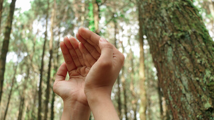Hijabi Muslimah, serene in forest, finds solace, bowing in prayer, amidst nature's embrace