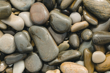 Piles of wet smooth polished pebbles in various shades of grey, brown and beige lay on the beach. A background of wet stones.