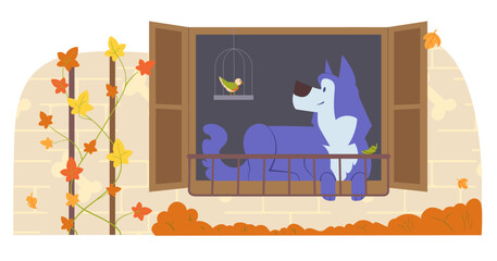 Dog on a windowsill