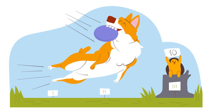 Dog catches a Frisbee