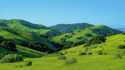 緑が美しい風景