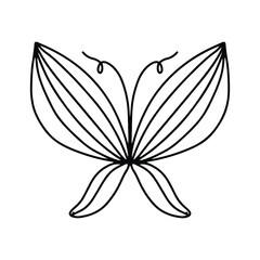 Butterfly zentangle adult coloring page mandala intricate line art. Simple Butterfly Line Art For Coloring Book.