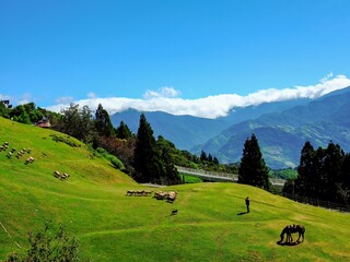 Taiwan high-mountain countryside, Taiwan's Little Europe, Qingjing Farm