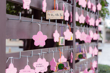 sakura flower petals shaped votive picture 