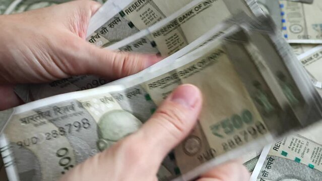 Woman's hands counting brand new indian 500 rupees banknotes.