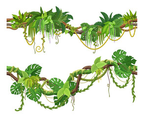 Tropical jungle forest liana vine branch. Vector rainforest thicket, Amazon or african flora, hanging creeper plants. Isolated tropic nature foliage. Cartoon spinney, elements of gui game landscape © Vector Tradition