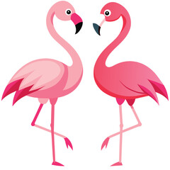 Cute Pink Flamingo Couple Making Heart | Summer Vacation Background of Flamingo
