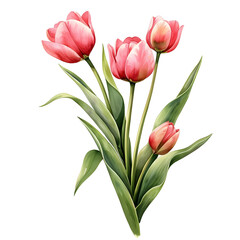 Naklejka premium bouquet of red tulips